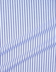 White Stripe Regular Fit Casual Shirt