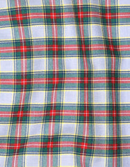 Check Green Tailored Smart Fit Shirt FS1079SH-16