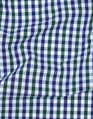 Check D Green Tailored Smart Fit Shirt FS1101SF-17