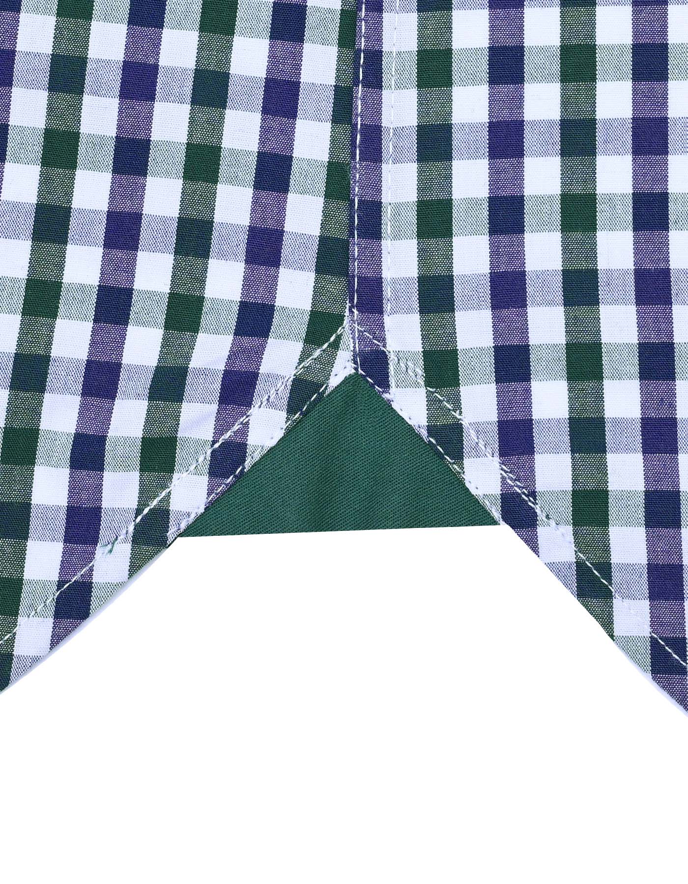 Check D Green Tailored Smart Fit Shirt FS1101SF-16.5