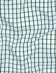Check Green Smart Fit Shirt FS1126SF-16