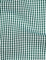Check Green Tailored Smart Fit Shirt FS2953SF-16