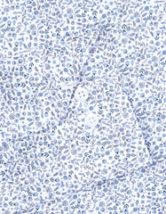 Printed L Blue Tailored Smart Fit Shirt FS859-1SF-15.5