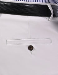Stone Smart Fit Cotton Trouser FTC2626S-36