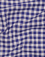 Check Blue Tailored Smart Fit Shirt FS2936SF-15.5